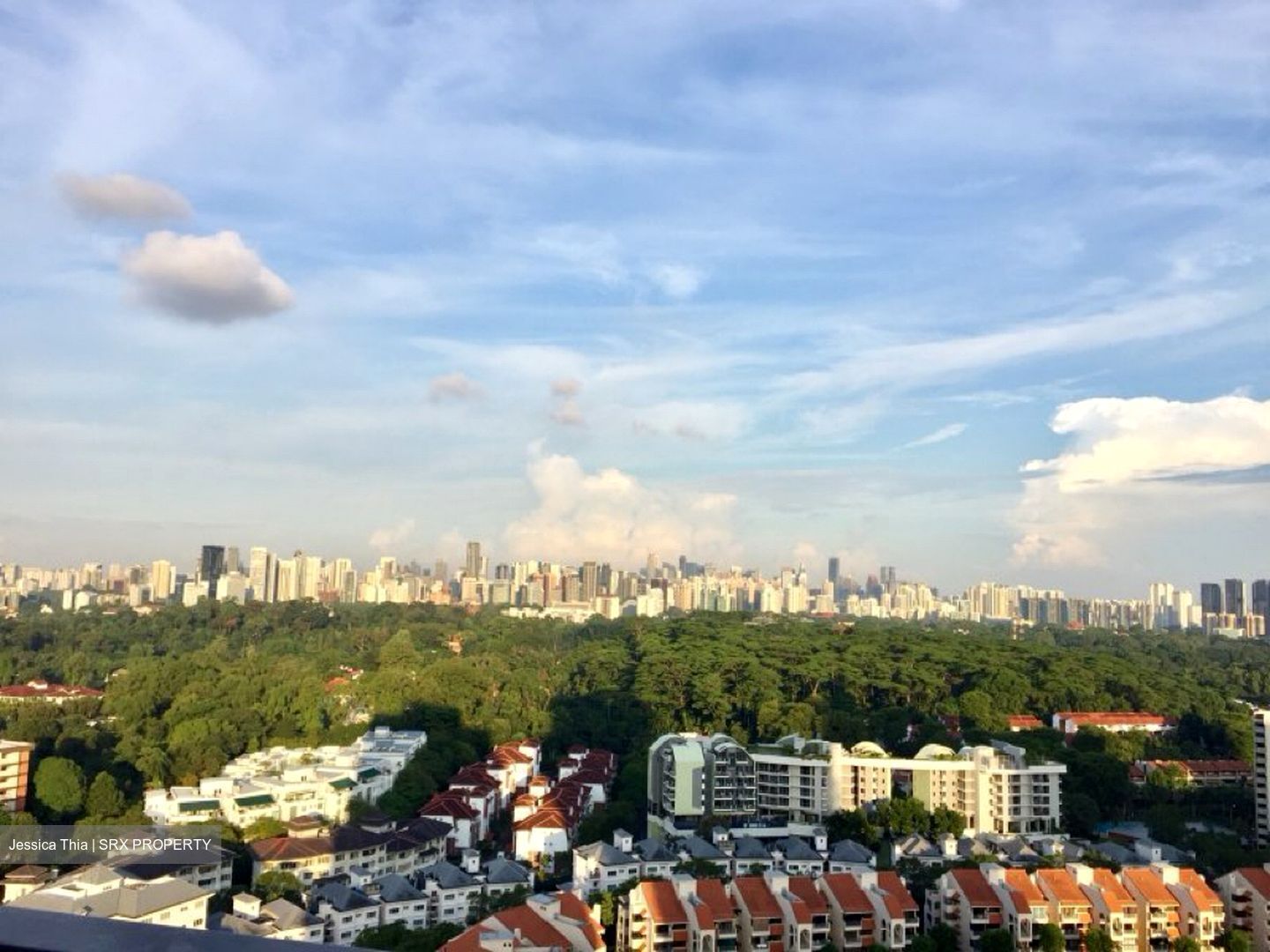 D'Leedon (D10), Condominium #449213981